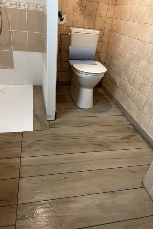 Am&eacute;nagement Salle de bain PMR &agrave; Faulquemont Forbach 1